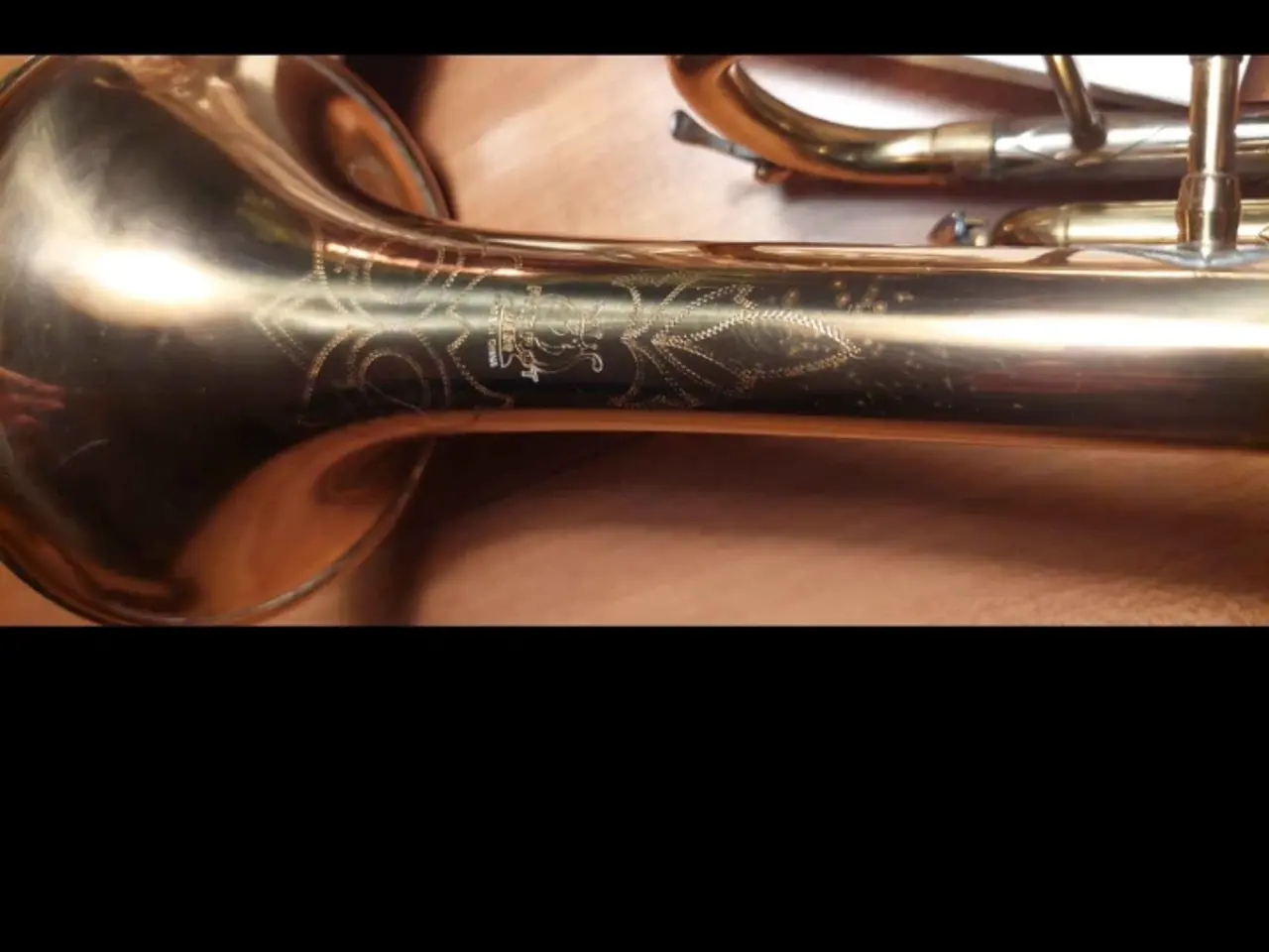 Billede 3 - Parrot trumpet 🎺