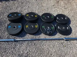 Olimpic Stang Plus 100kg Bumper Plates