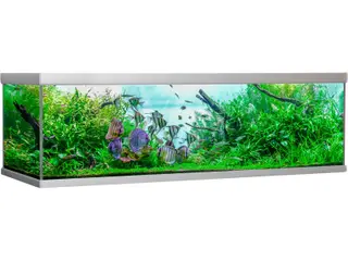 Søger 720-900L med bord, låg med lys