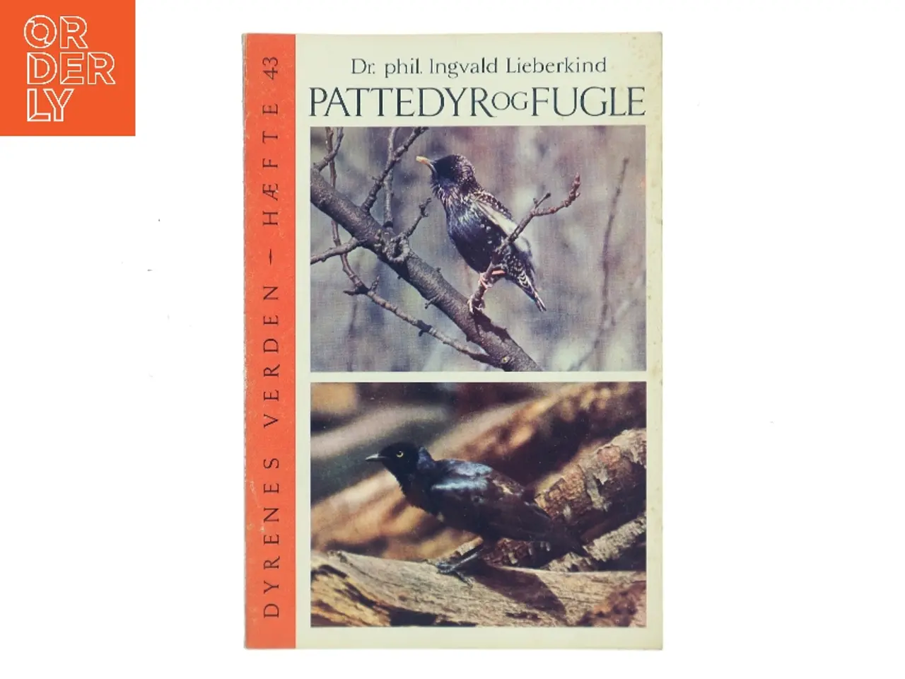 Billede 1 - Pattedyr og fugle af Ingvald Lieberkind (Bog)
