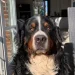 jesper1308