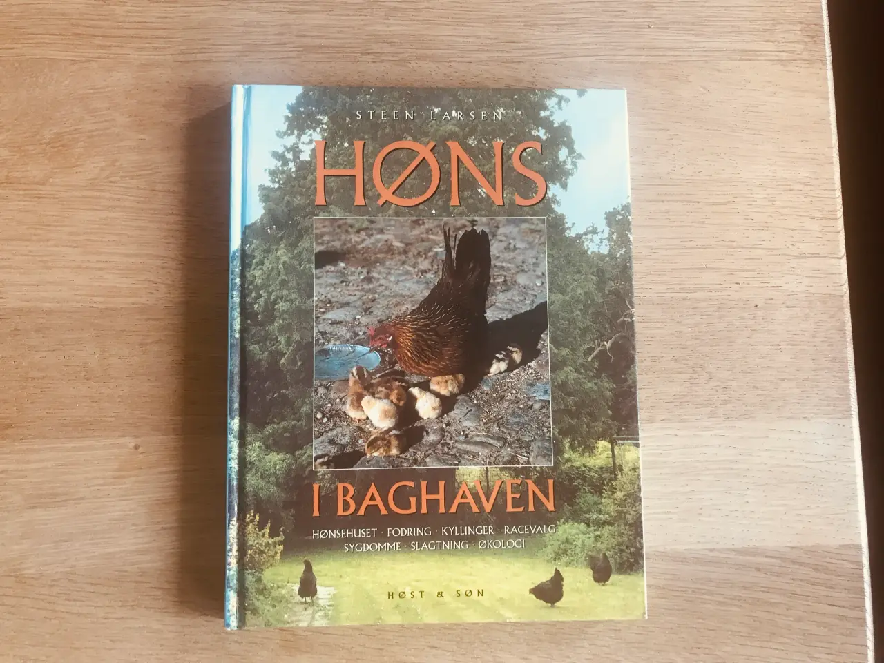 Billede 1 - Høns i Baghaven af Steen Larsen