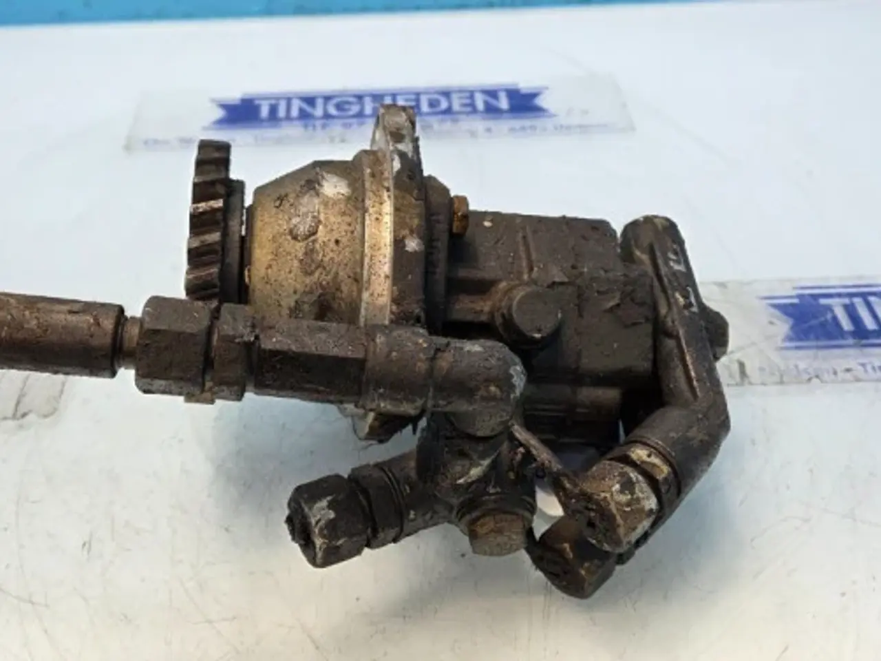 Billede 14 - Iveco Cursor 13 Brændstofpumpe 504040201