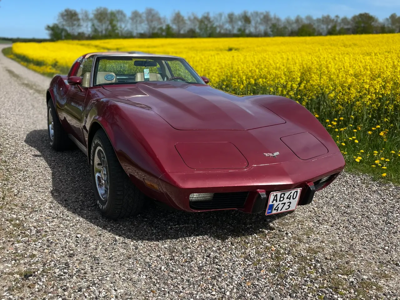 Billede 3 -  Chervolet Corvette C3 Stingray 1979 5,7 V8