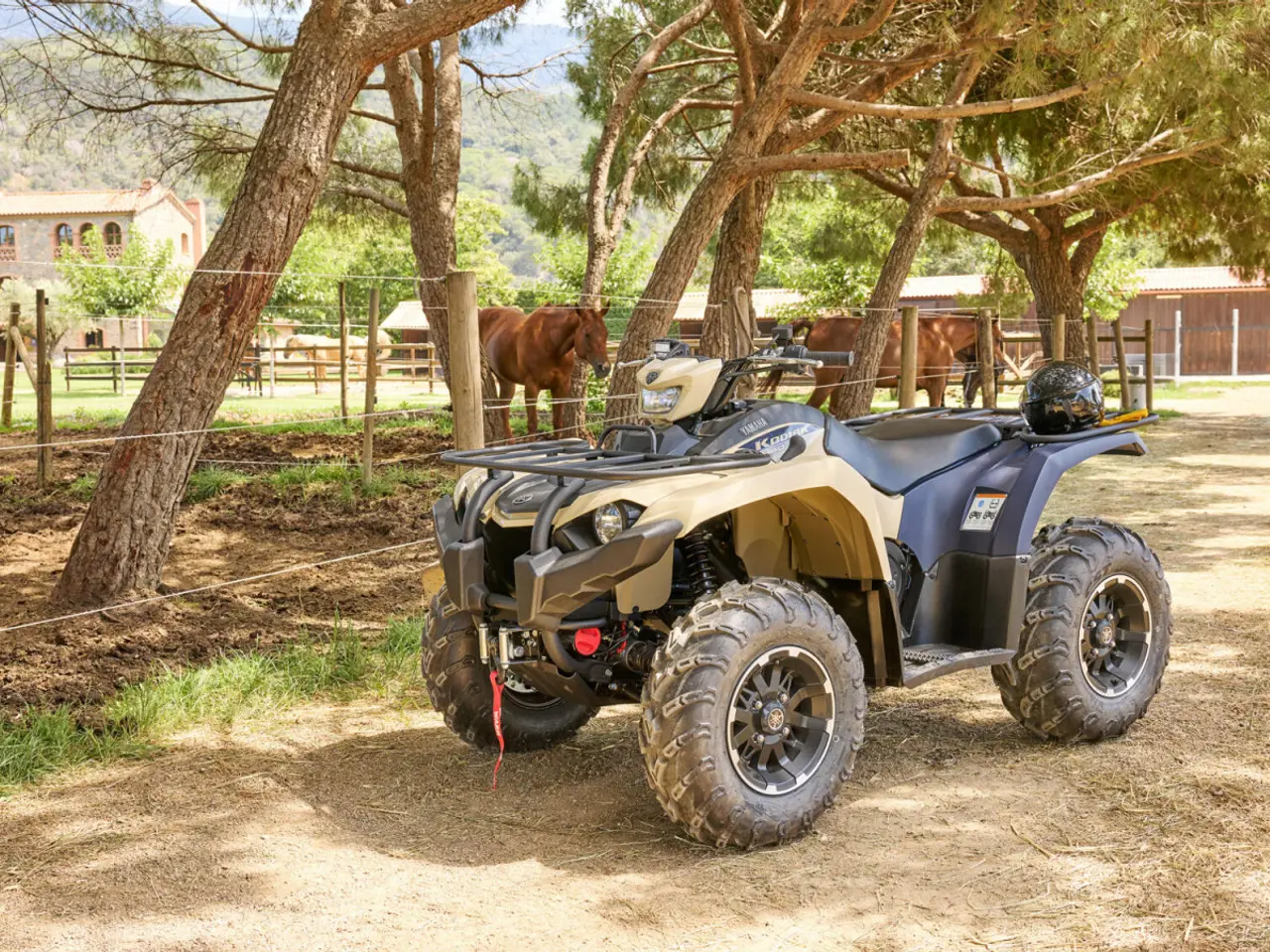 Billede 4 - Yamaha Kodiak 450 EPS SE Traktor