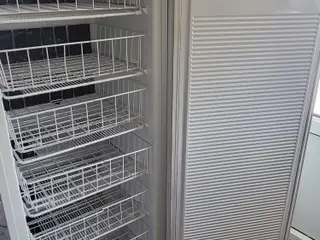 Gorenje Skabsfryser 310L