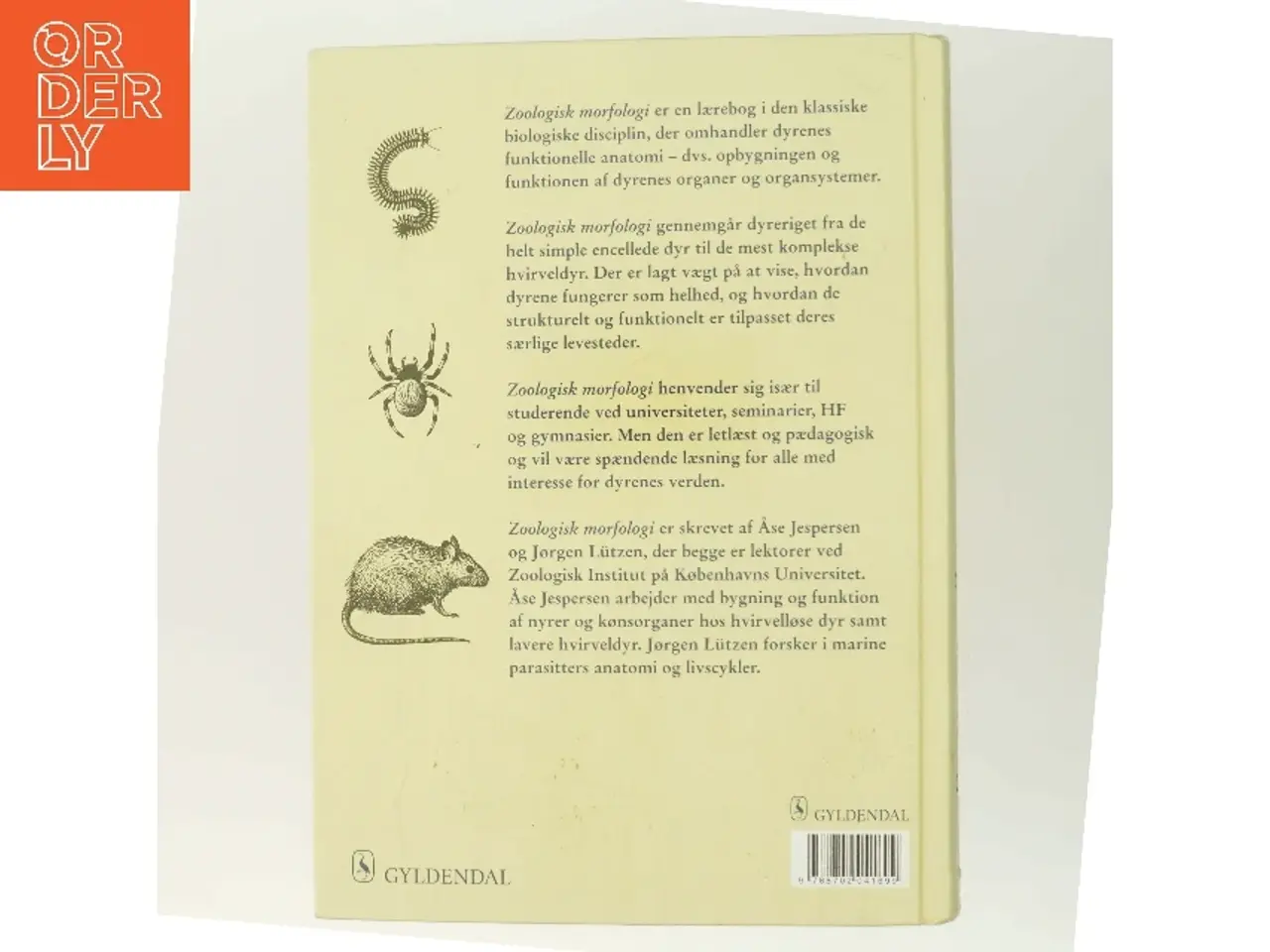 Billede 3 - Zoologisk morfologi : form og funktion i dyreriget (Bog)
