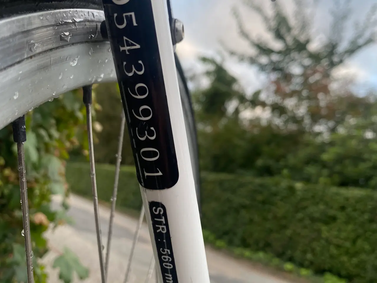 Billede 6 - SCO herrecykel