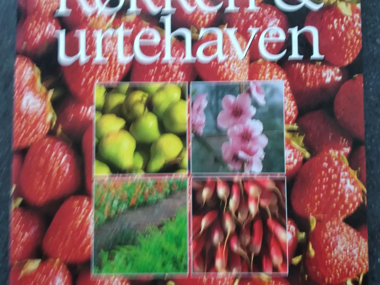 Billede 1 - Køkken & Urtehaven - Anna Pavord.