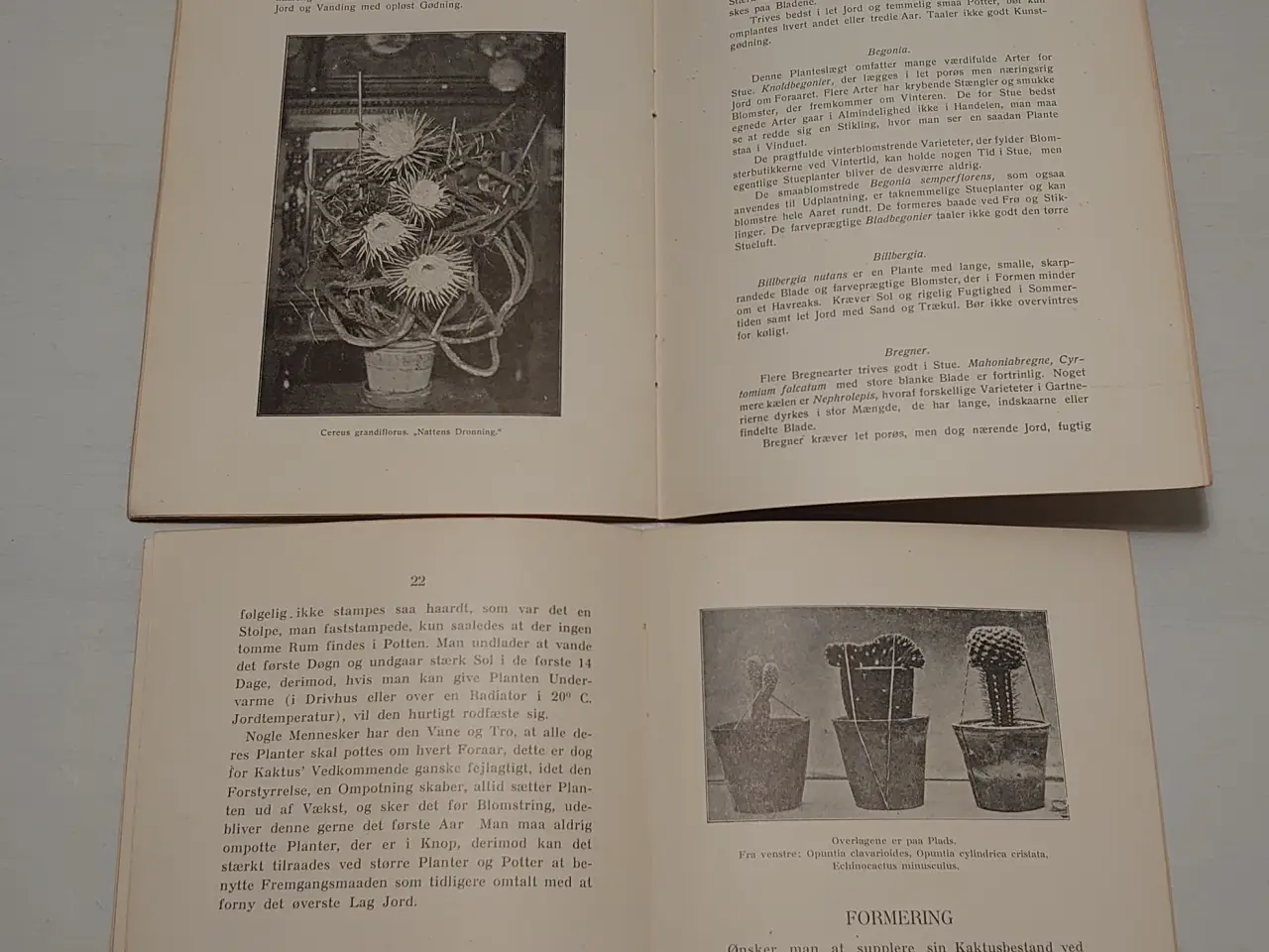 Billede 3 - Brems og Risum:Hæfter om plantepasning.1928 & 1935