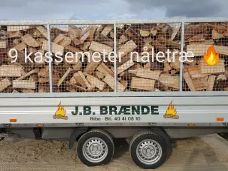 TØRT BRÆNDE PÅ LAGER, LØVTRÆ ELLER NÅLETRÆ