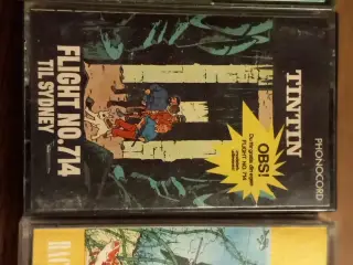 Tintin