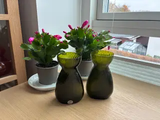 Hyacintglas - Gl. Holmegaard - 2 stk. i mørk grøn
