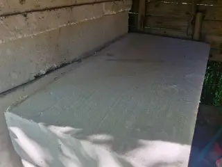 Flamingo bats