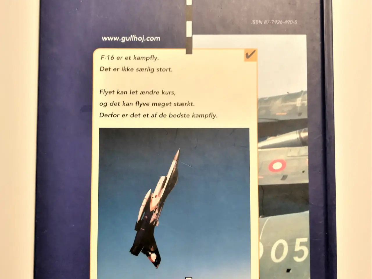 Billede 2 - F-16 - et kampfly. Af Jens Kowalczyk