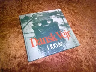 Dansk vejr i 100 år i tekst og billeder