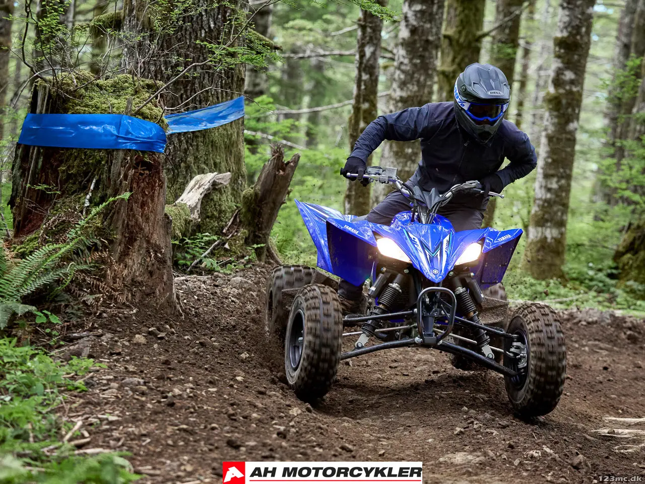 Billede 7 - Yamaha YFZ 450 R