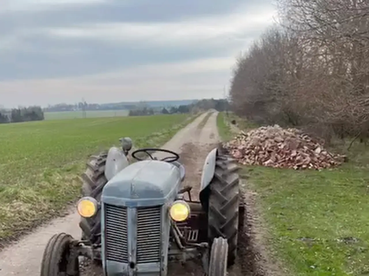 Billede 4 - Massey Ferguson TEA