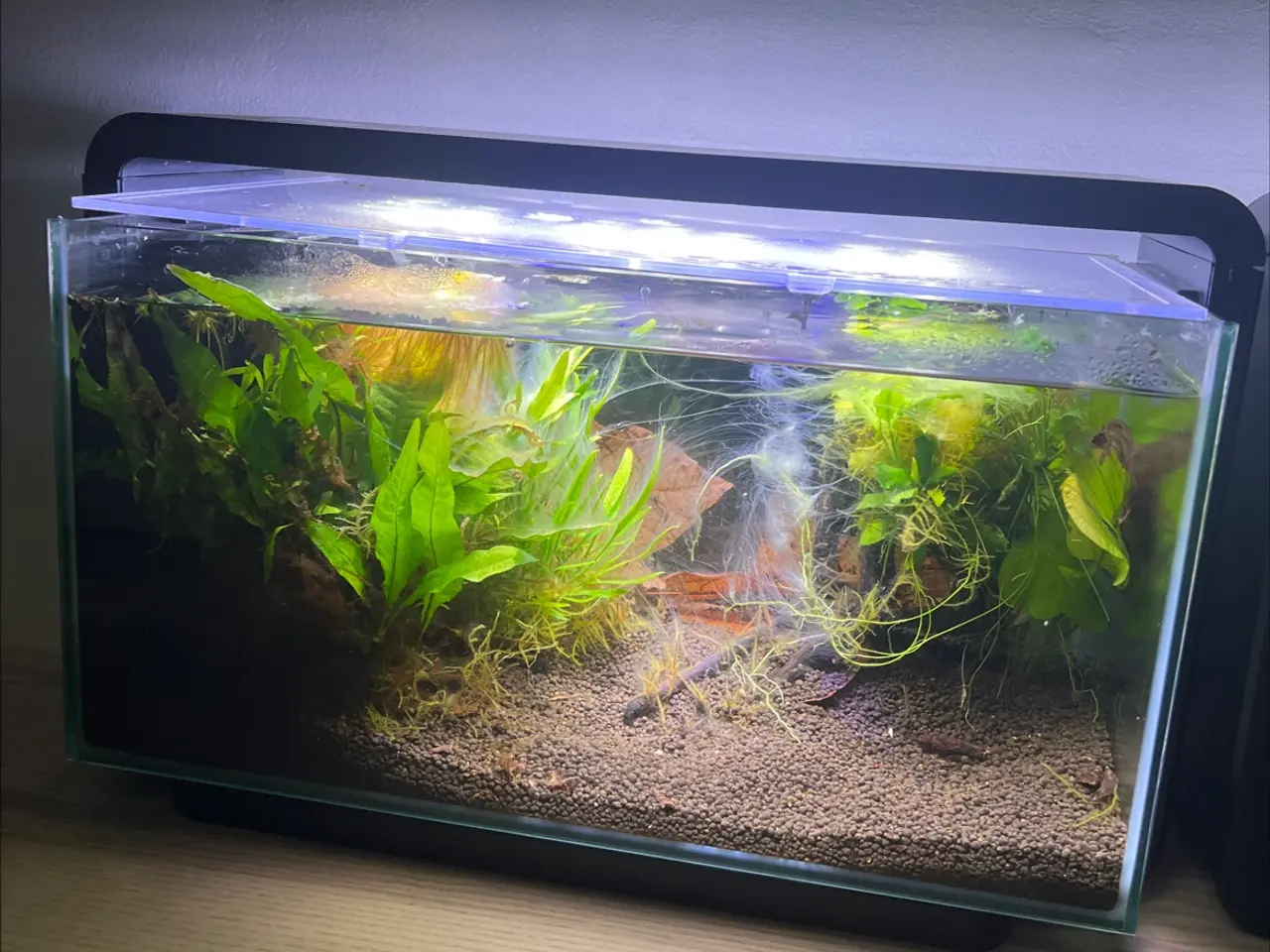 Billede 2 - Små akvarier