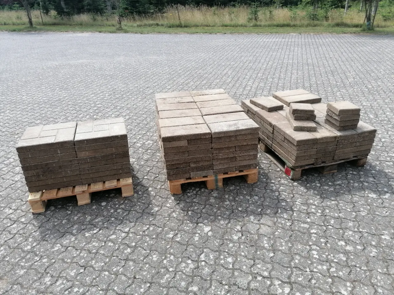 Billede 1 - Havefliser 20x40x5 /. 40x40x5 cm 