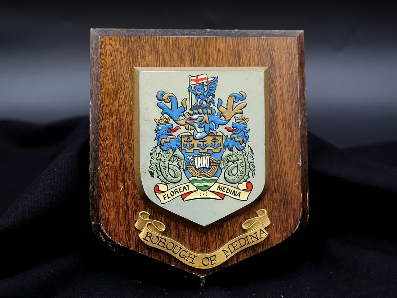 Billede 1 - Borough of Medina vintage træskjold