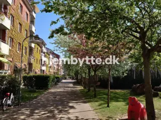 Hjembytte - Saxogade