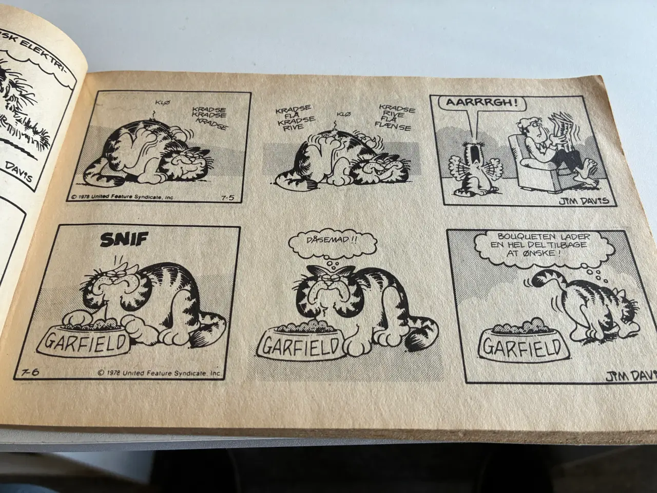 Billede 3 - Garfields første år