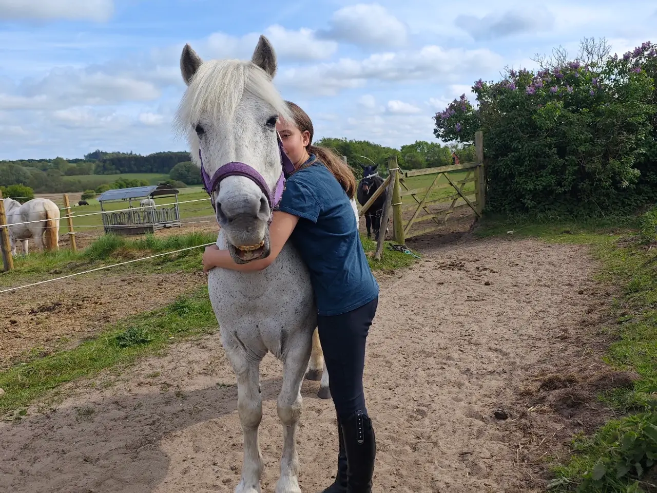 Billede 13 - Allround pony, en ny bedste ven