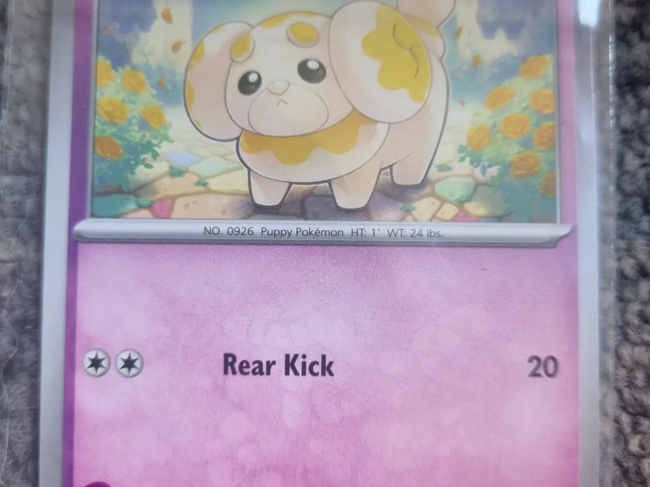 Billede 13 - Annonce 125 - Pokemon