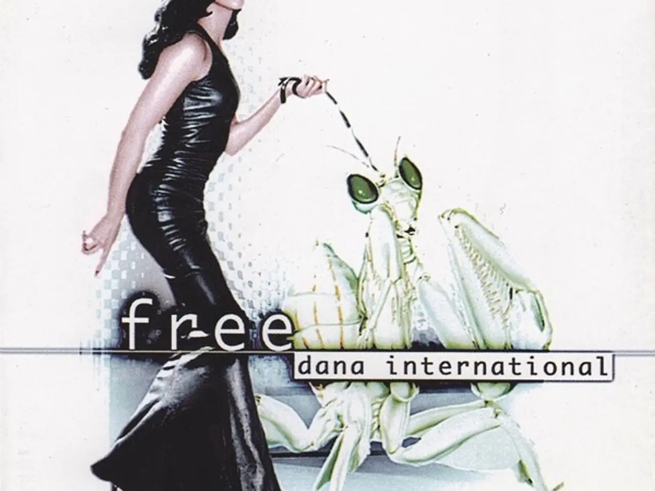 Billede 1 - Dana International – Free – CD