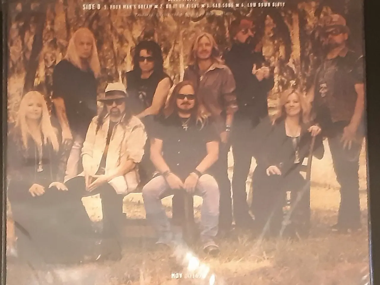 Billede 3 - Lynyrd Skynyrd ... last of a dyin' breed