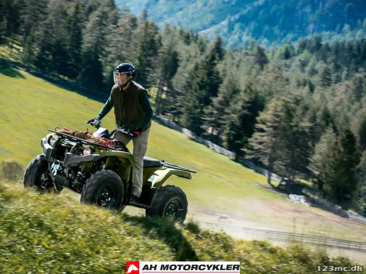Billede 5 - Yamaha Kodiak 450 IRS Olive Green
