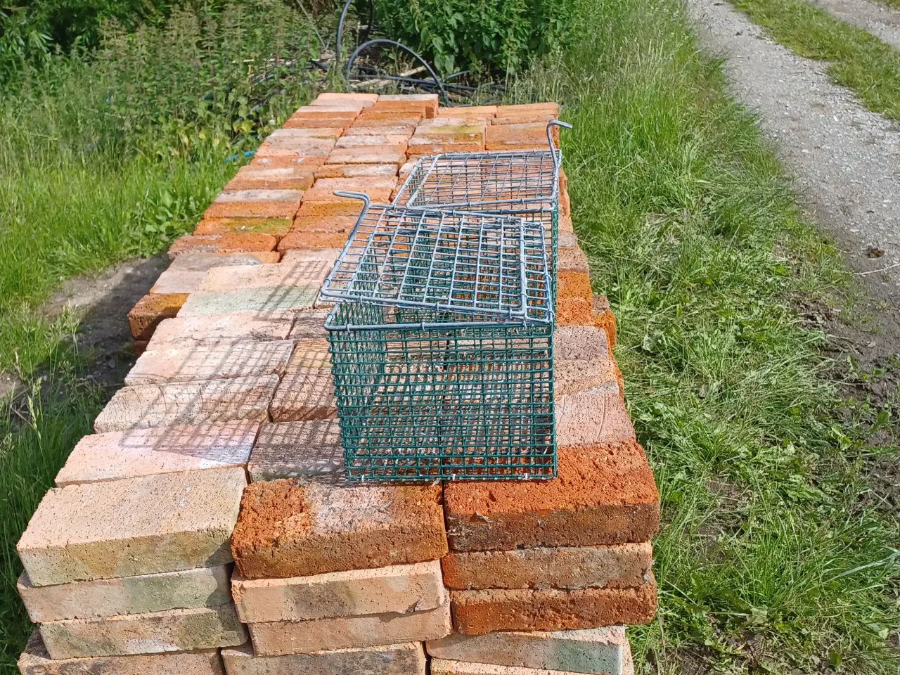 Billede 2 - Minkruser/ redekasser / bure