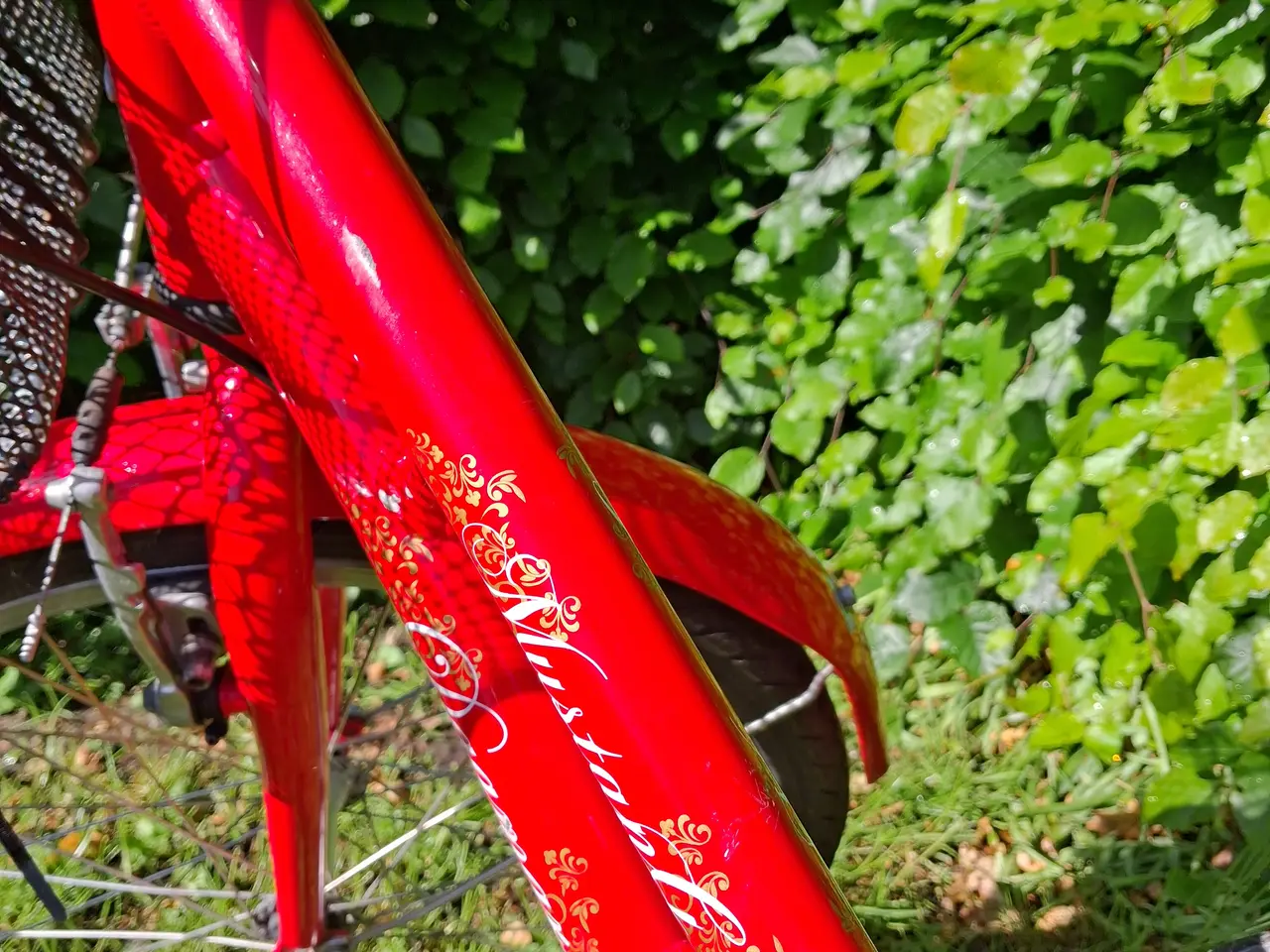 Billede 3 - Pigecykel