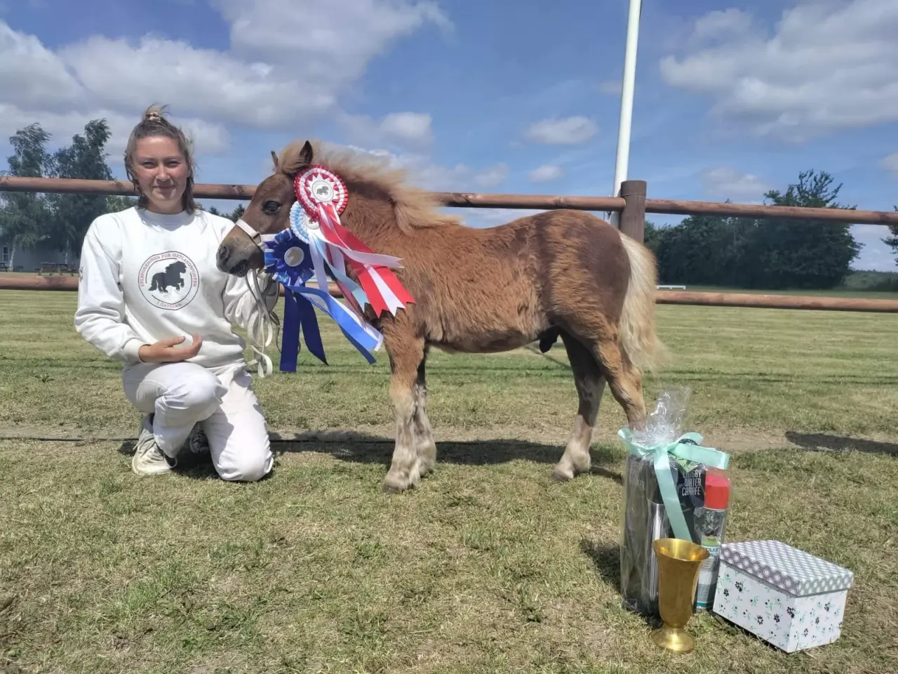 Billede 8 - Sødeste shetlandspony hingst sælges