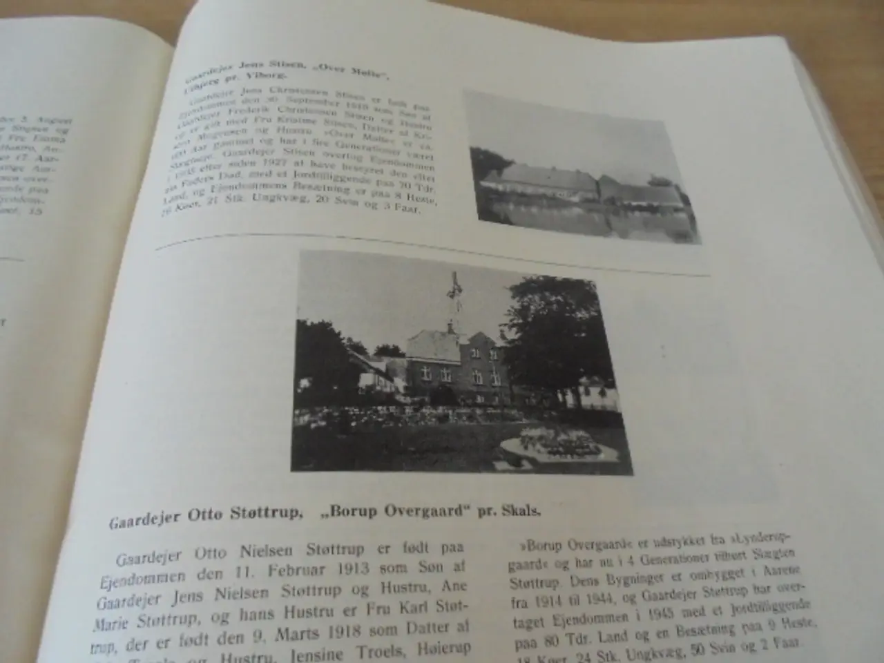 Billede 2 - Viborg amt II Bogforlaget ”DANA” – 1946