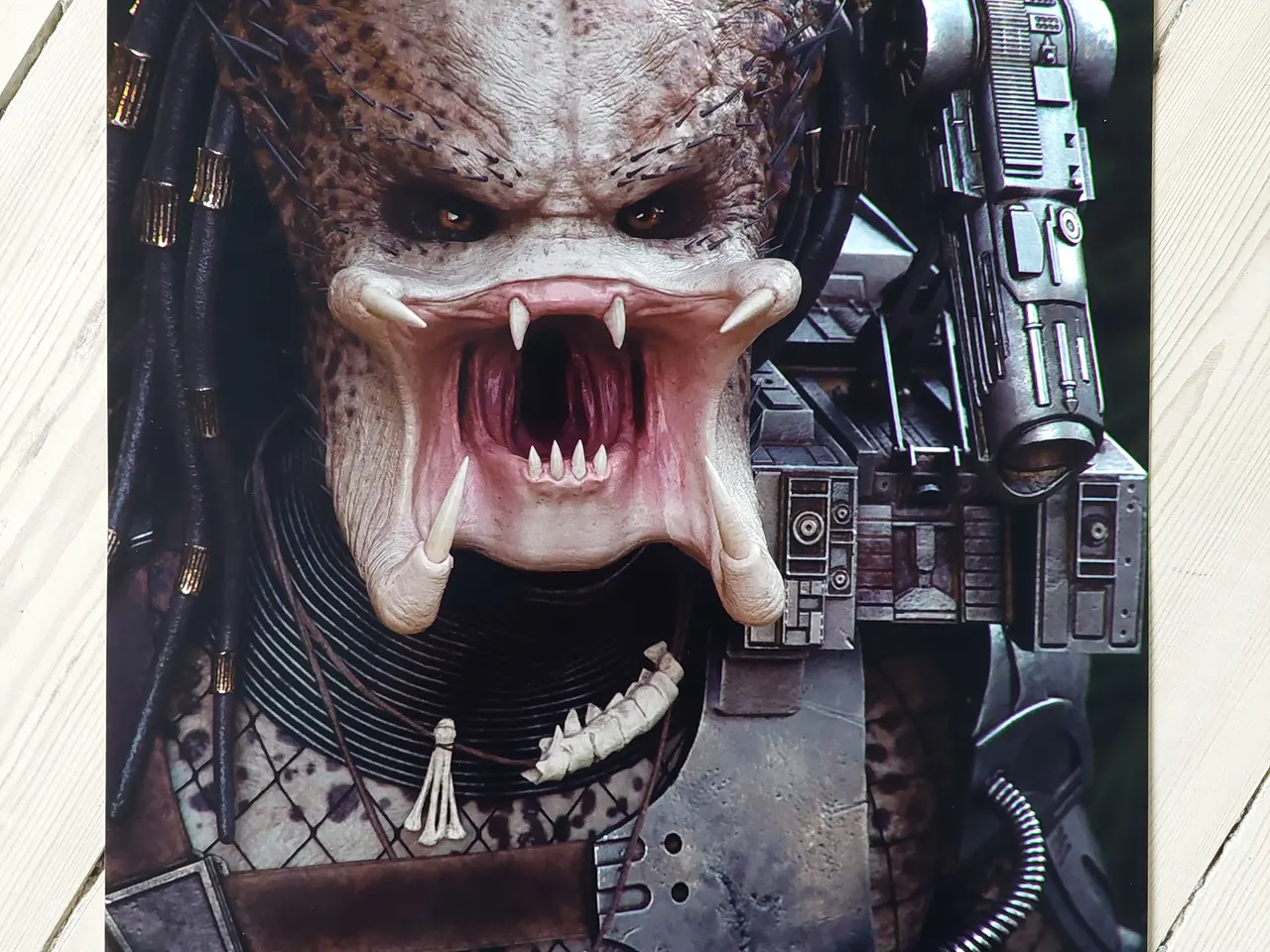 Billede 1 - Ubrugt Predator Plakat – Unmasked Gaming Art