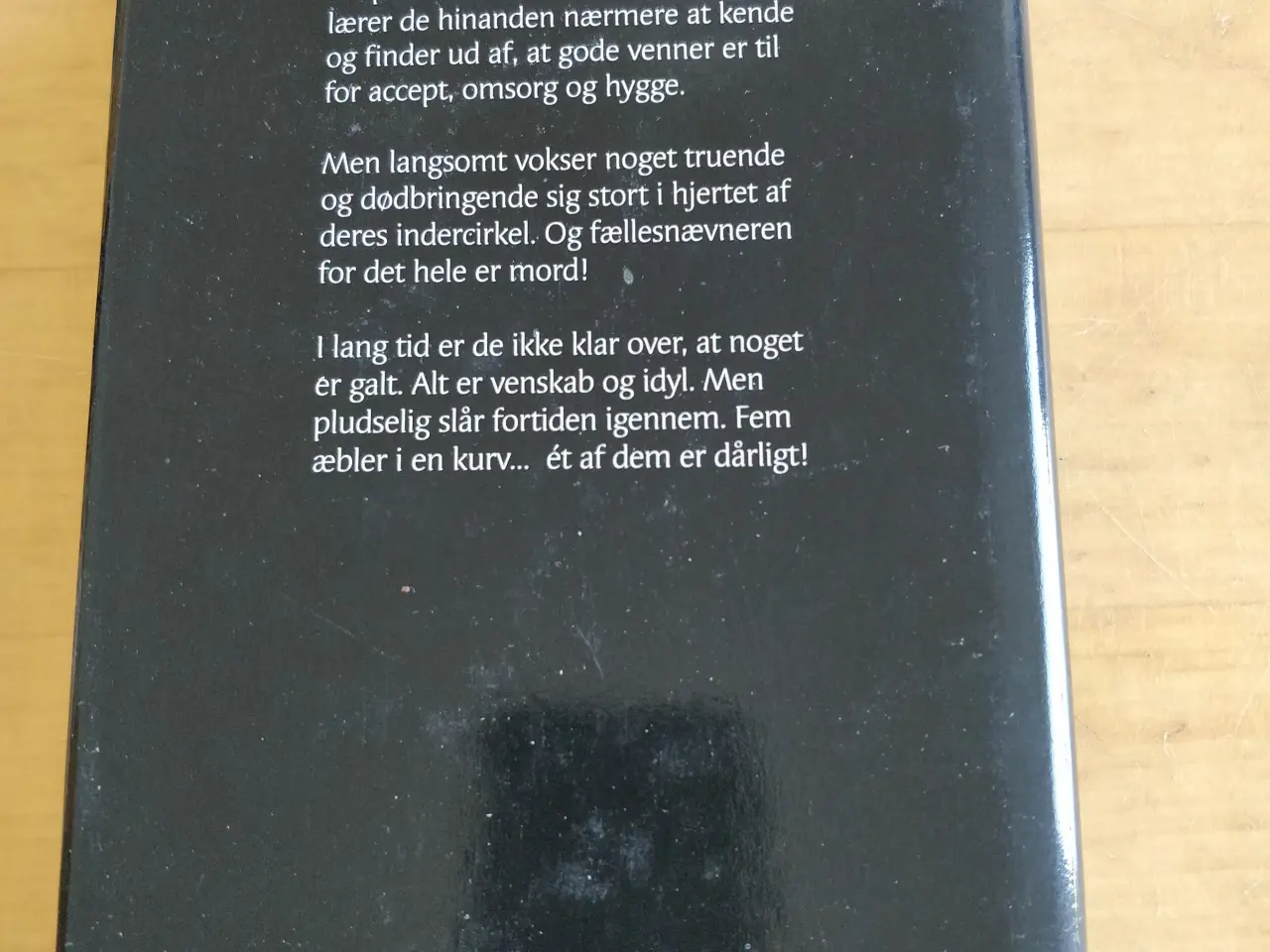 Billede 4 - Ekko i mørket