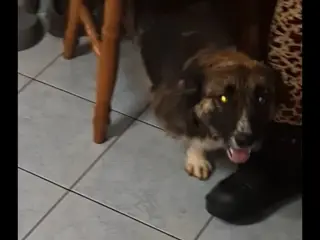 Ana