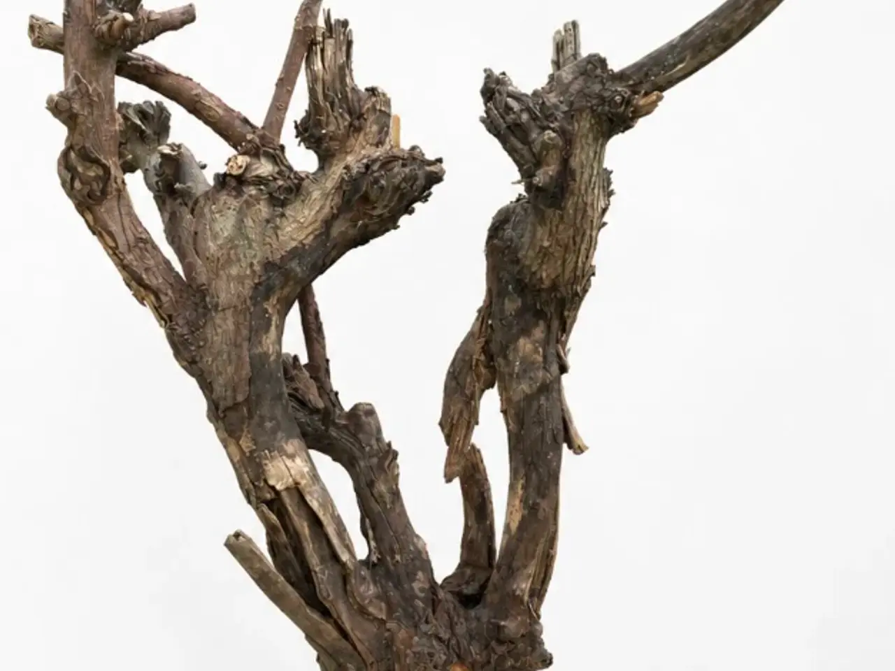 Billede 3 - Træ Skulptur