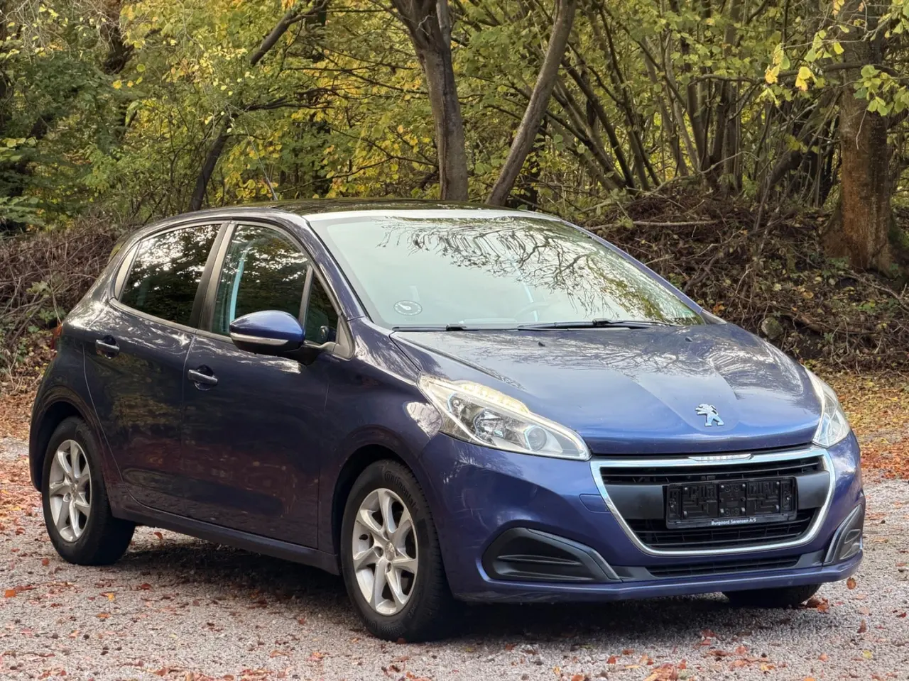 Billede 5 - Peugeot 208 1,6 BlueHDi 100 Desire Sky