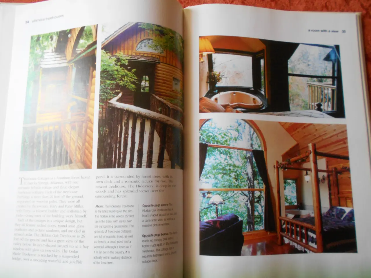 Billede 4 - Ultimate treehouses, David Clark
