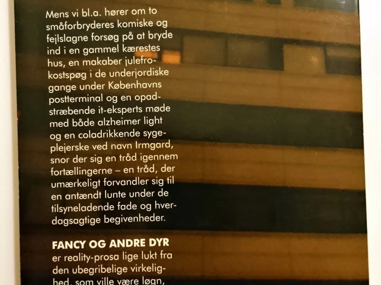 Billede 2 - Fancy og andre dyr -fortsatte fortællinger