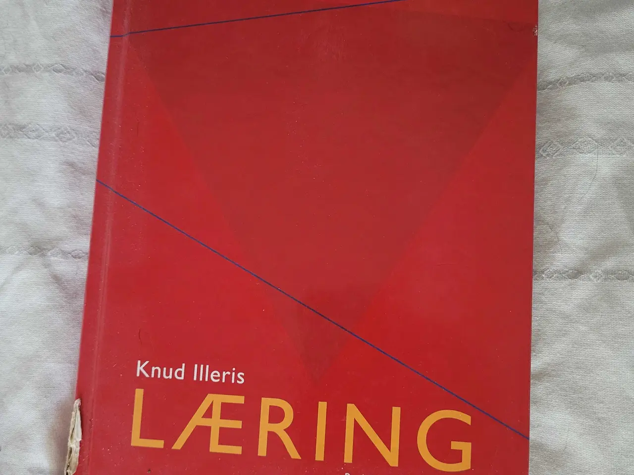 Billede 1 - Knud Illeris - Læring