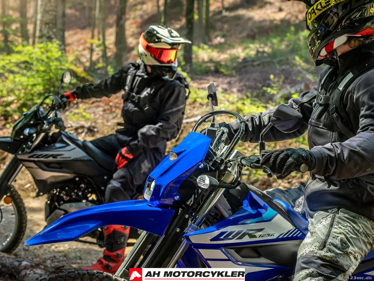 Billede 11 - Yamaha WR 125 Icon Blue