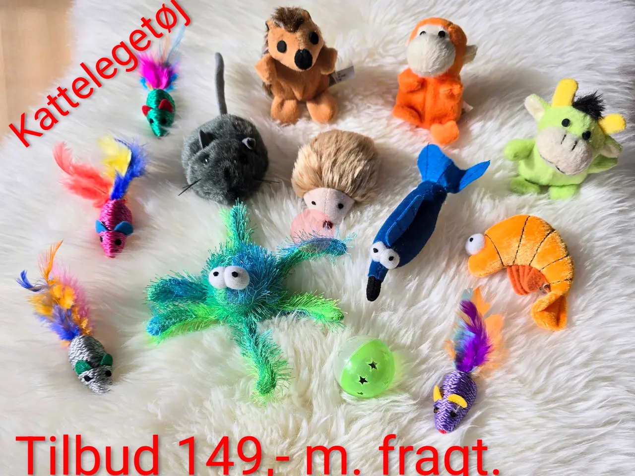 Billede 1 - TILBUD.  Kattelegetøj. 