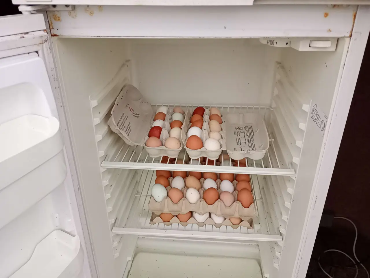 Billede 4 - 10 æg fra mine fritgående høns til salg 6818