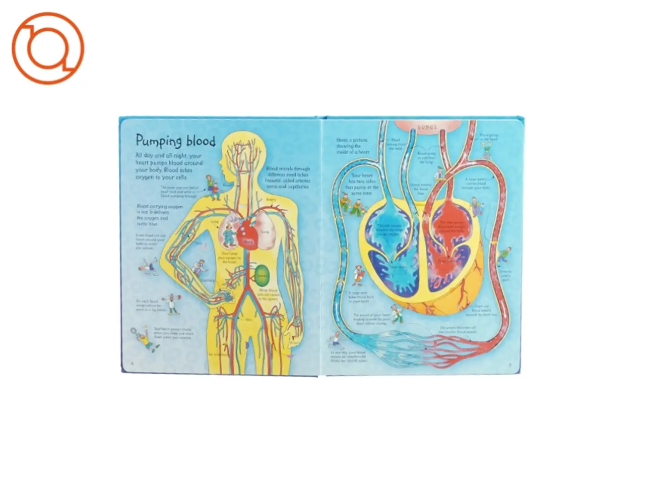 Billede 2 - See inside your body af Katie Daynes og Cole King fra Bog