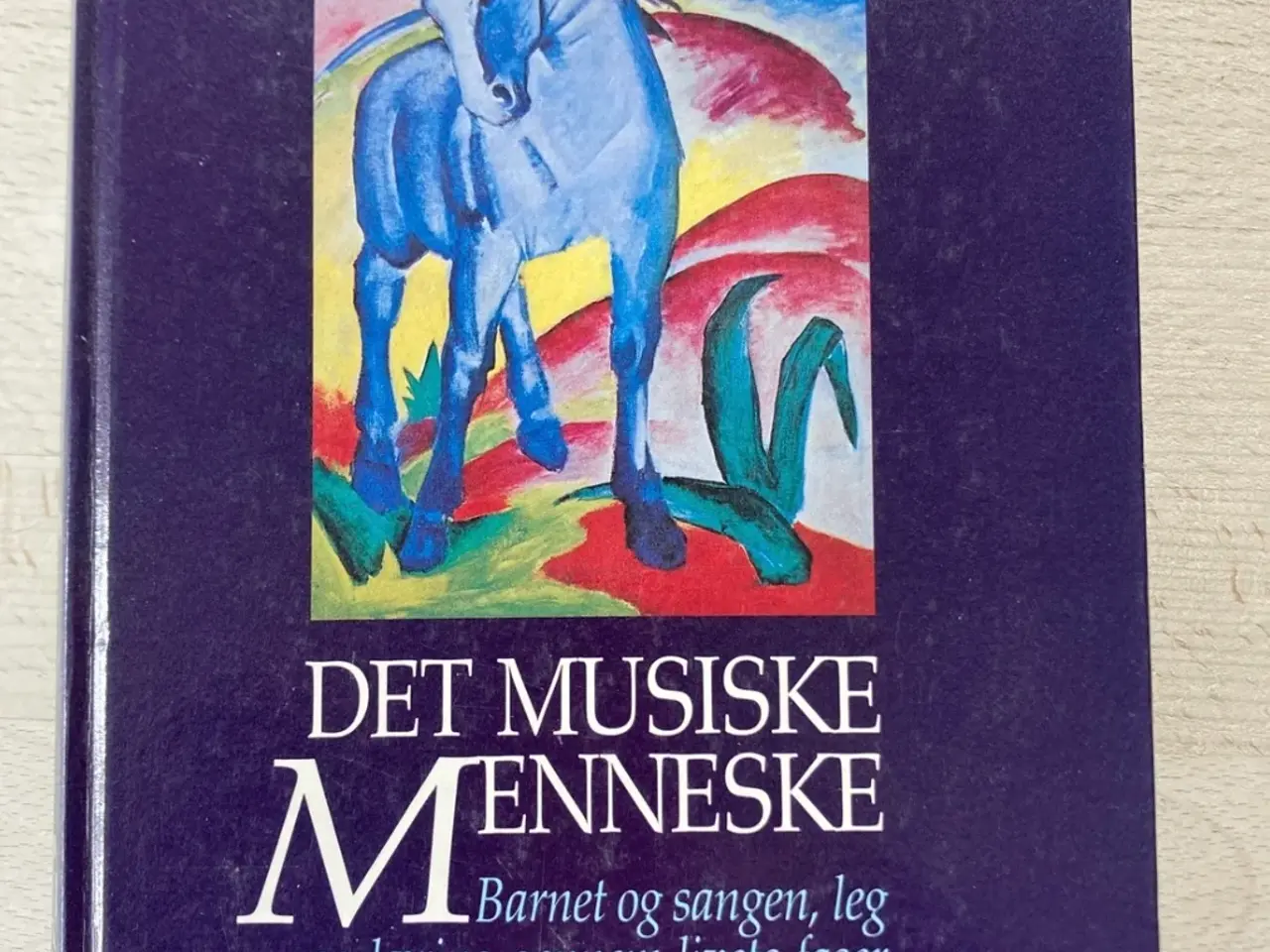 Billede 1 - Det musiske menneske, Jon-Roar Bjørkvold