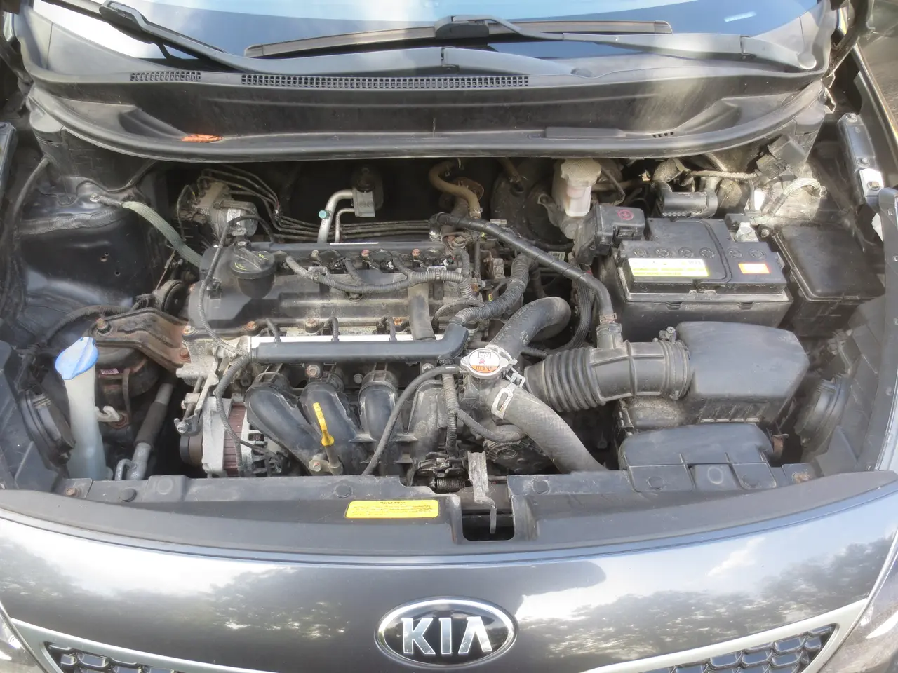 Billede 20 - Pæn Kia Rio 1.2 i År 16 Nysynet.